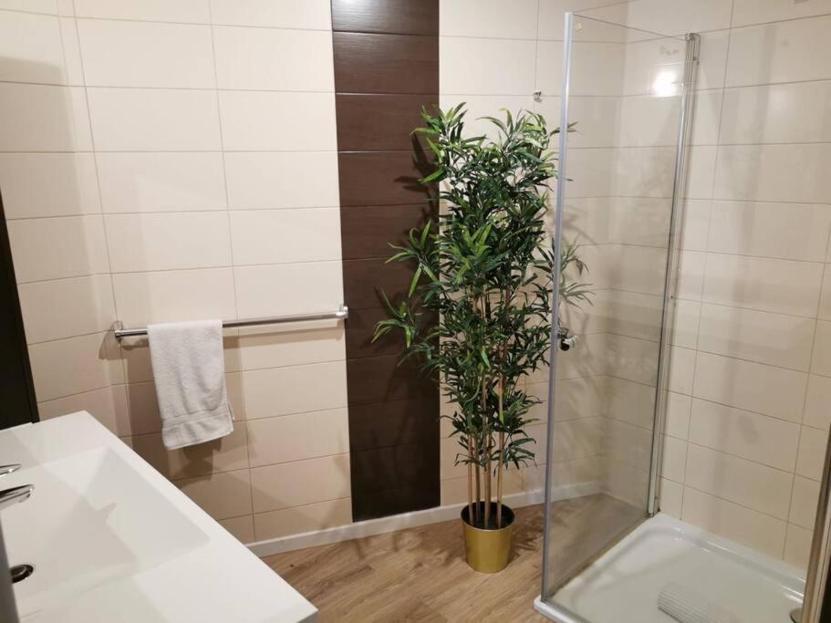 Appartamento Large 2 Bedrooms Flat With Free Parking & Terrace *